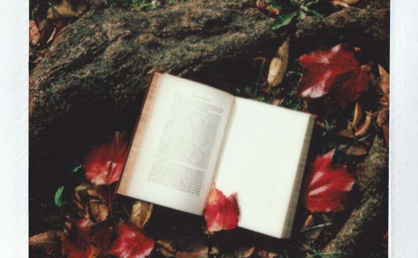 C&rsquo;est lundi que lisez-vous ?&nbsp;#27